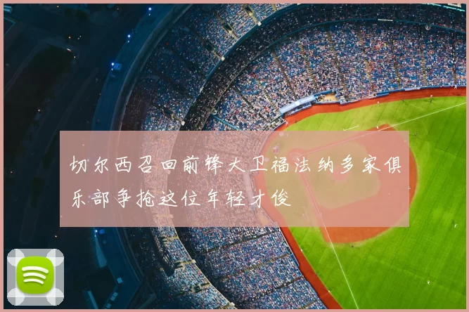 切尔西召回前锋大卫福法纳多家俱乐部争抢这位年轻才俊