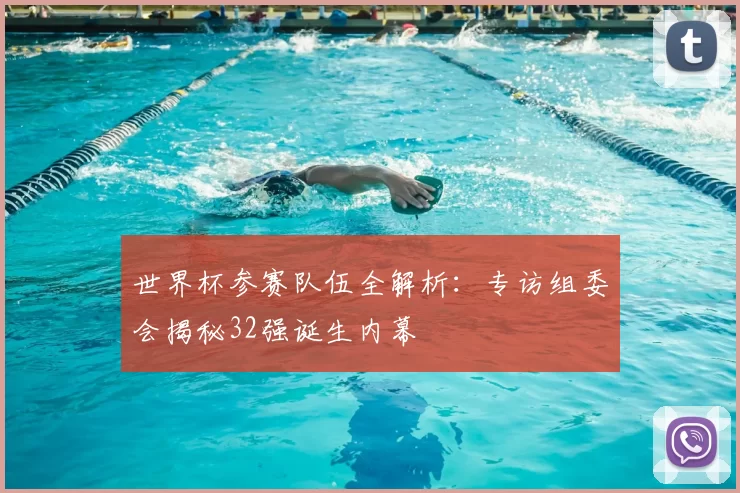 世界杯参赛队伍全解析：专访组委会揭秘32强诞生内幕