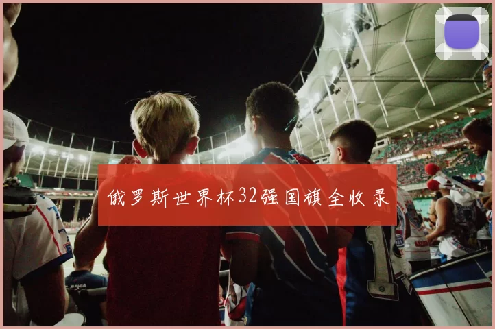 俄罗斯世界杯32强国旗全收录
