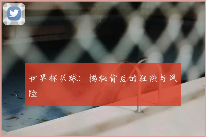 世界杯买球：揭秘背后的狂热与风险
