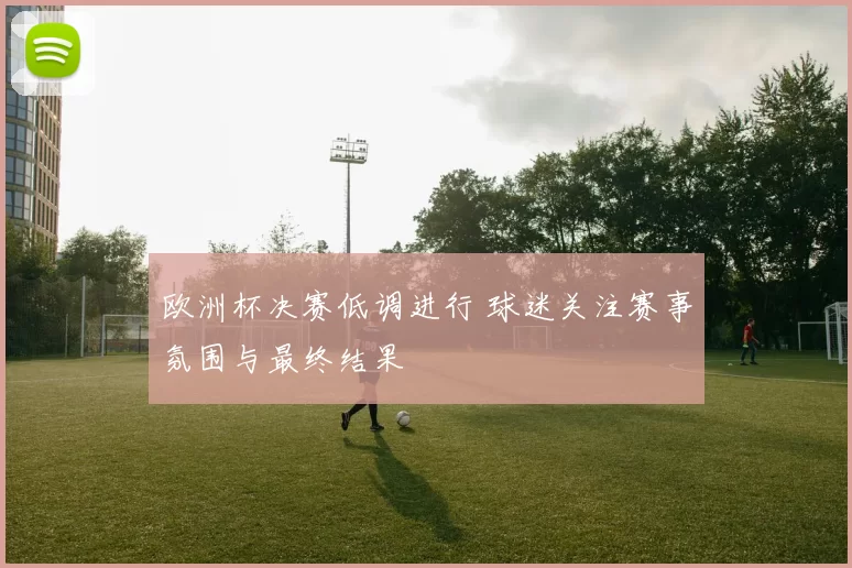 欧洲杯决赛低调进行 球迷关注赛事氛围与最终结果