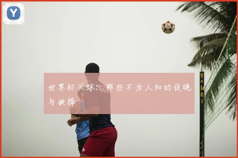 世界杯买球：那些不为人知的夜晚与抉择
