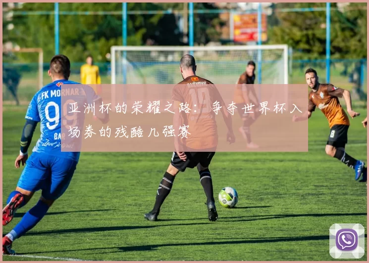 亚洲杯的荣耀之路：争夺世界杯入场券的残酷几强赛