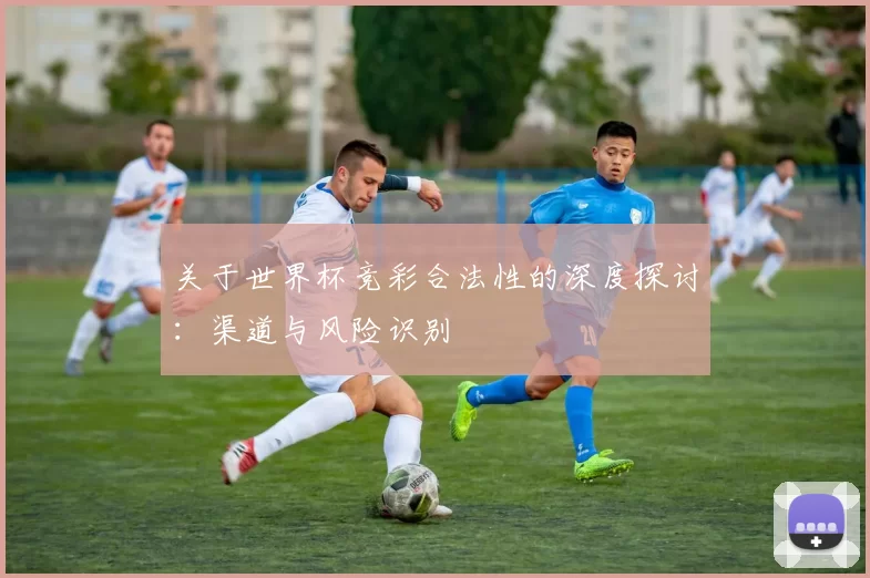 关于世界杯竞彩合法性的深度探讨：渠道与风险识别