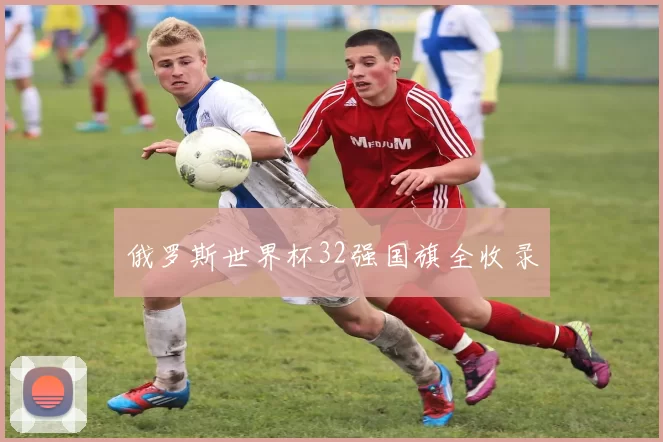 俄罗斯世界杯32强国旗全收录