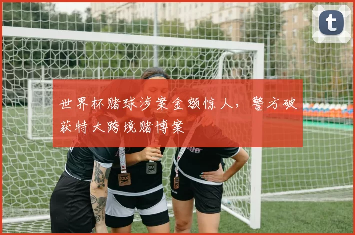 世界杯赌球涉案金额惊人，警方破获特大跨境赌博案