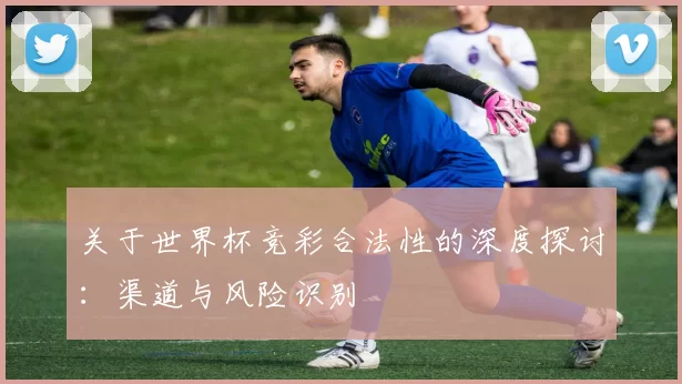 关于世界杯竞彩合法性的深度探讨：渠道与风险识别